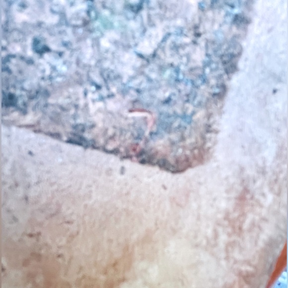 VTG Calleen Cordero Leather Studded Flat Mules - Picture 7 of 10